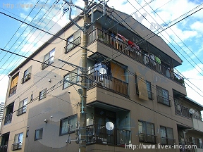 川嶋