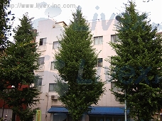 市村
