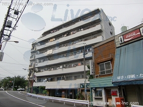 ハイホーム向島