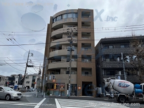 セトル オクサワ