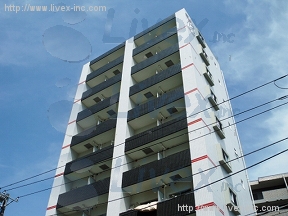 ミリアビタNo15