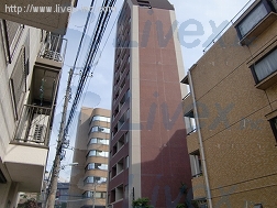 アムス天王洲