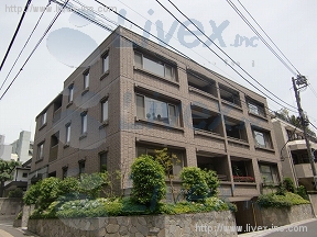 南青山ドミシル