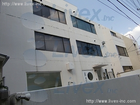 原宿Y&N