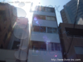 新生