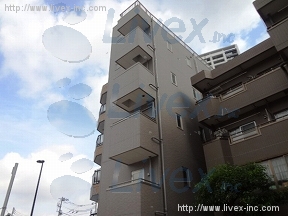 α渥見