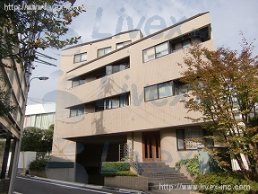 アンセストラル高輪