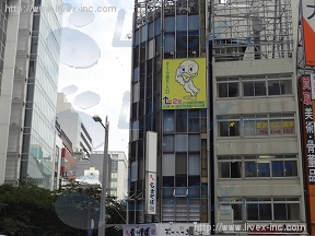 青木