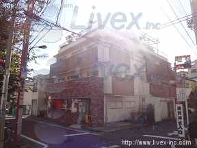 向井