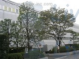長谷萬東陽町