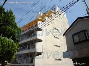 文化マンション
