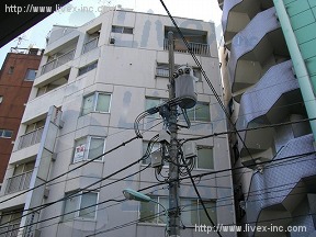 東京タイプ