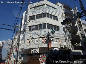 第5春野