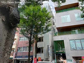 平野