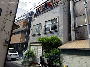 野原