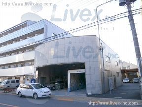 パープルブリッジ