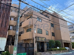 トーシンフェニックス新高円寺クアトロ