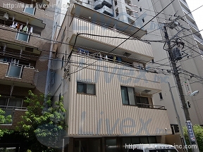 フジハイツ