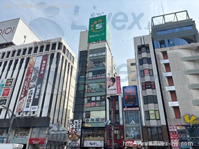 岡埜栄泉