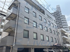 冬木