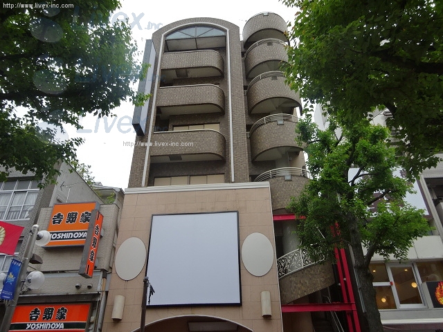 泰光