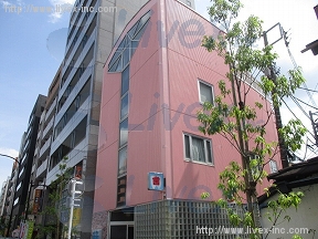 新井