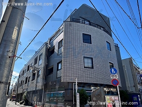 ミミッツカドマツ