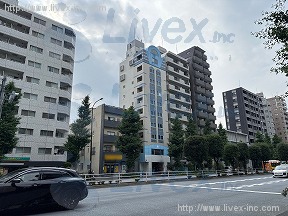 オリーブ白山