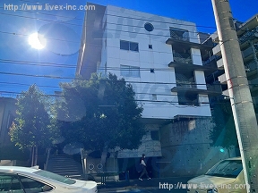 MT COURT