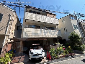 野原