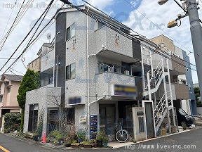 ファレノプシス
