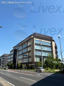 KOIL TERRACE