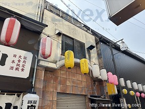 新英