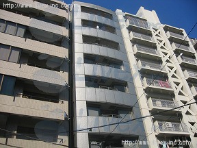 RooMY生稲