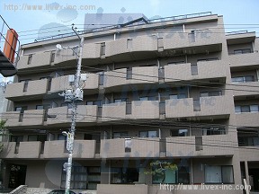 グランドスポット