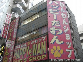 サンライズ