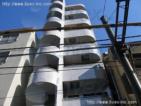 ステラ