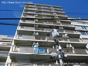岡三桜丘南館