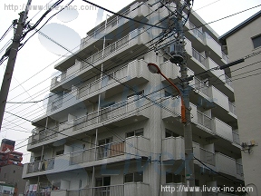 デューク菊川