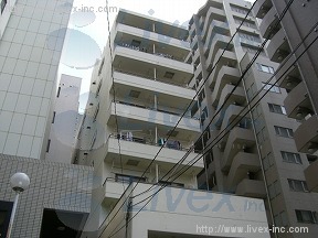 ドリーム小石川