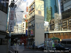 山水