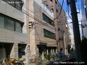 枝村