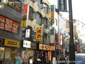 新花