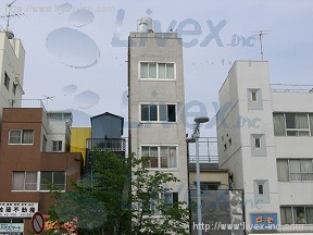 石井