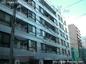 メゾンドール亀戸ニューカナメ