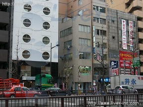 日向野