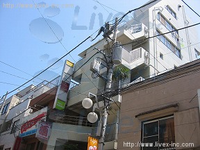 柏屋