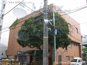 木村