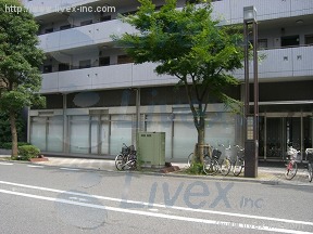 シティハイム亀沢