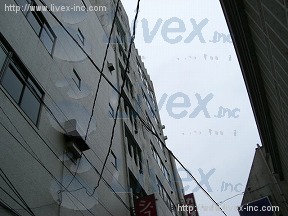 セキネ